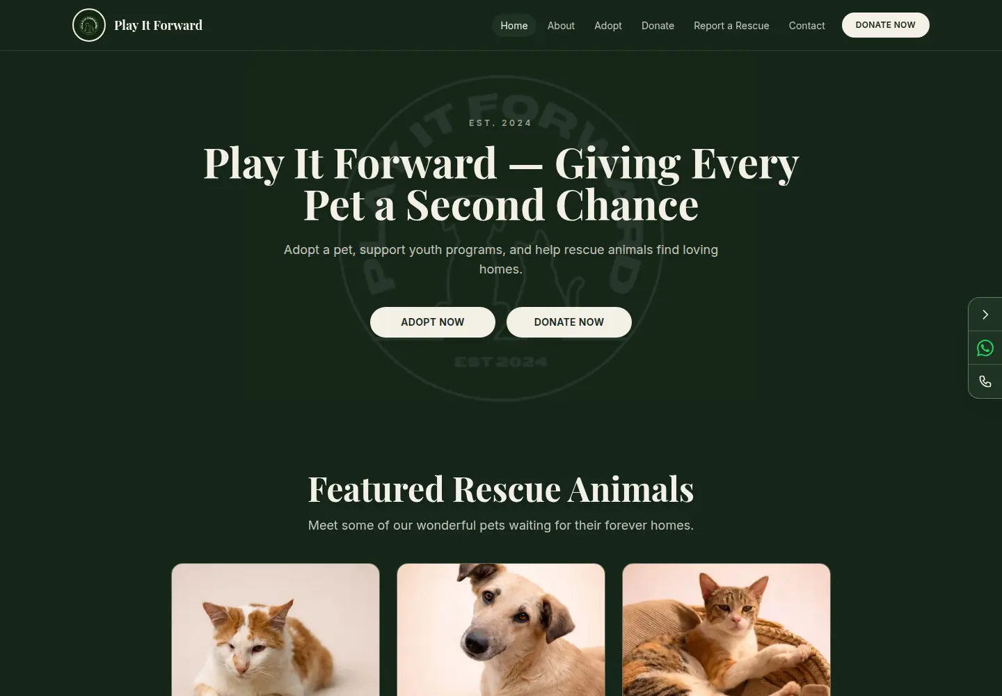 Homepage of the Play It Forward website